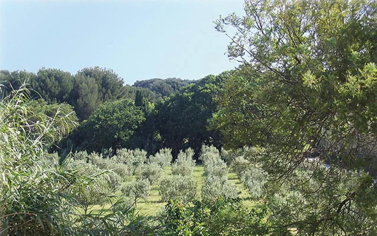 Au Jardin De La Ferme - Gite Vigne Vierge Six-Fours-les-Plages 0*,  Frankrig